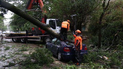 La borrasca Kirk dej imgenes para recordar. En esta se ve la cada de un rbol en el campus sur compostelano sobre un coche