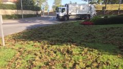 Jabal�es en Oleiros