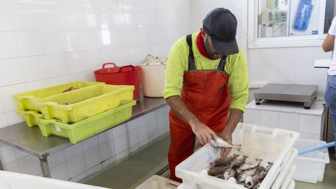 Un trabajador en la lonja de A Guarda