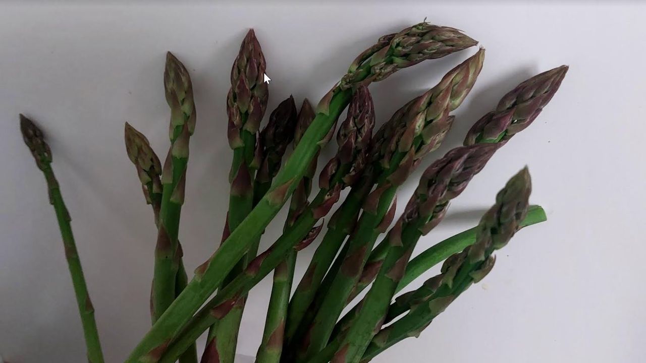 Producto de temporada: Vuelven los espárragos de Monterroso: una delicia verde 100 % gallega