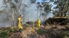 Incendio forestal en Louro