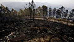 El fuego deja a su paso un paisaje desolador