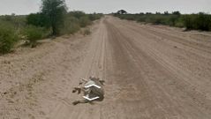 Imagen del burro tirado en el suelo, en medio de un camino