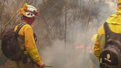 Calcinadas 90 hect�reas en un incendio forestal en Arbo