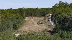 Actualmente est�n en marcha trabajos preliminares de desbroce y movimiento de tierras