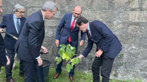 Rueda, Angueira e o alcalde Rui Moreira plantan unha filla da figueira de Rosala nos xardns do Palcio de Cristal.