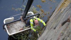 Limpieza de la vegetaci�n adosada al puente viejo, en una imagen de archivo