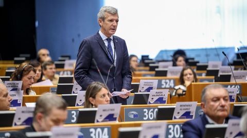 Alfonso Rueda, durante su intervención este miércoles en el Comité de Regiones.