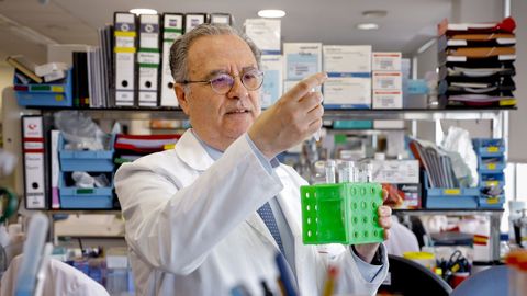 Francisco Javier Blanco lidera el grupo de reumatología en el Instituto de Investigación Biomédica de A Coruña (Inibic).