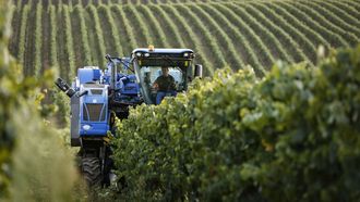 Mart�n C�dax lleva a�os realizando la vendimia con m�quinas en sus parcelas de la�denominaci�n de origen Monterrei