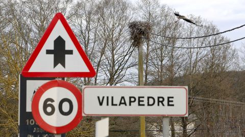 Vilapedre, en Sarria, y Maceda, en Lncara, son los lugares con mayor presencia de estas aves