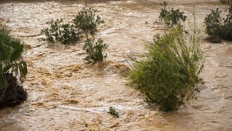 El r�o Servol, en el municipio castellonense de Vinar�s, cuenta con un caudal mucho m�s crecido de lo habitual a causa de la DANA. Adem�s, en esta provincia se registraron rachas de viento del este de 70 a 80 kil�metros por hora.