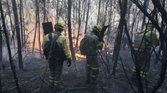 Restablecido el trfico en la N-120, tras el corte por un incendio