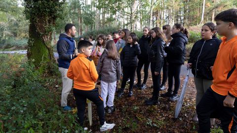 Actividad micolgica de los alumnos del CEIP Lagostelle, de Guitiriz, en Sete Muos