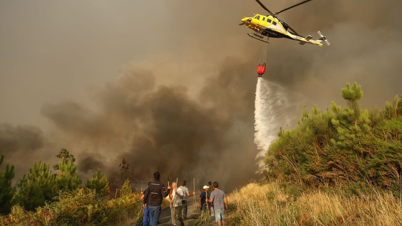 Más de 4.200 profesionales están sobre el terreno para combatir el fuego