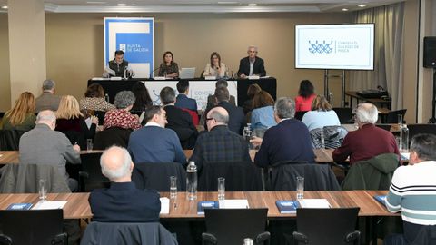 Presidido por Marta Villaverde, conselleira de Mar (al fondo, segunda a la izquierda), el Consello Galego de Pesca celebr�  una reuni�n extraordinaria para analizar los recortes de la xarda y el lirio, entre otros.