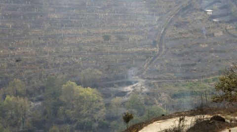 Vias quemadas en Horts (Sober), en la margen izquierda del ro Cabe