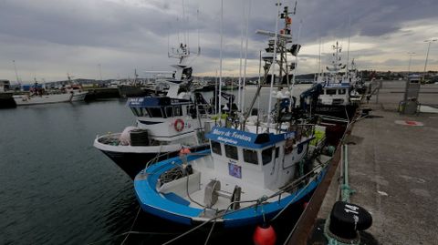 Imagen de archivo de barcos de Malpica amarrados en el muelle de Oza, en A Coru�a