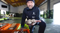 La almeja fina extra super� la barrera de los 150 euros en lonja este viernes en Campelo