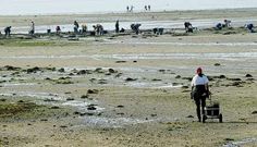 Las mariscadoras no han podido trabajar en A Seca desde hace meses por marea roja.