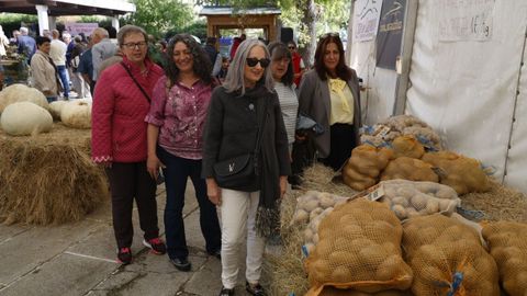 Festa da Pataca en Vilar de Barrio.