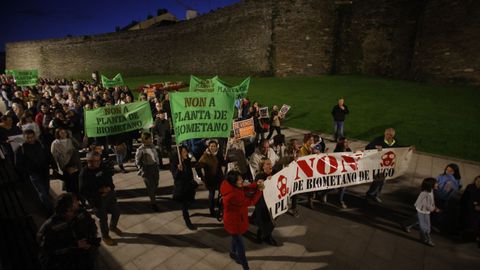 Manifestacin en Lugo contra la planta de Coeses