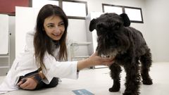 ngela Gonzlez es etloga clnica en el hospital veterinario Rof Codina de Lugo