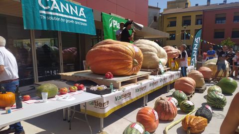 Heber Arenas, en el Concurso Internacional de Hortalizas Gigantes de Valtierra, en Navarra