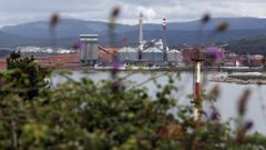 Vista del complejo industrial de Alcoa, desde Mor�s