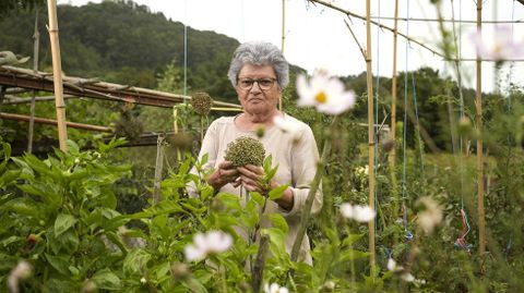 Amelia Cancela, de 77 aos, que llevaba siendo concejala desde el 2015 por el BNG en Barro y ahora deja la corporacin para descansar y cuidar su huerta.