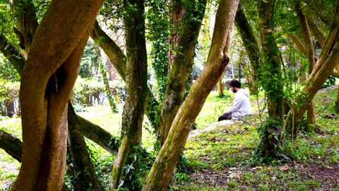 La Isla Interior son dos das de talleres sin tecnologa en San Simn