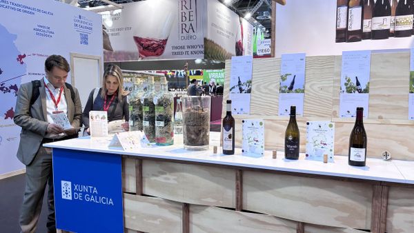 Estados Unidos sigue siendo el principal destino de las exportaciones de vino gallegas