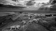 Las mejores fotos de la naturaleza