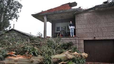 Ca�da de un eucalipto de grandes dimensiones sobre una vivienda en Ribadumia