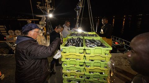 Cerqueros descargando sardina en el puerto de Corcubin a mediados del pasado julio