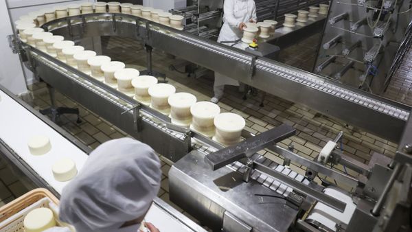 Medio Rural quiere impulsar la transformaci�n de los productos agrarios y la modernizaci�n de las explotaciones
