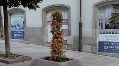 El Casco Vello se llena de �rboles secos