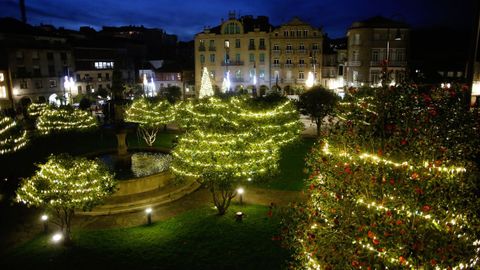 Camelios iluminados de la Praza de Ourense, en Pontevedra