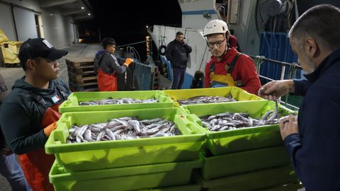 Descarga de lirio en la lonja de Ribeira el pasado noviembre