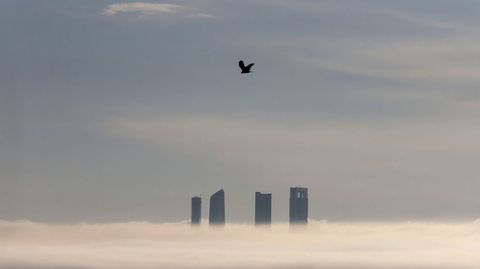 Vista de las Cuatro Torres situadas en el Paseo de la Castellana de Madrid, e una maana ocn una densa niebla.