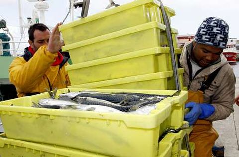 Cuando los mari�anos dejaron el mar, los inmigrantes llegaron para completar tripulaciones.