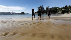 Playa de Area, en Viveiro, que luce ya bandera azul