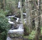 Cascada del r�o Negro. 