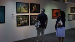 Asi � a exposici�n �Comedy Wildlife. Premios de fotograf�a� que chega a Lugo
