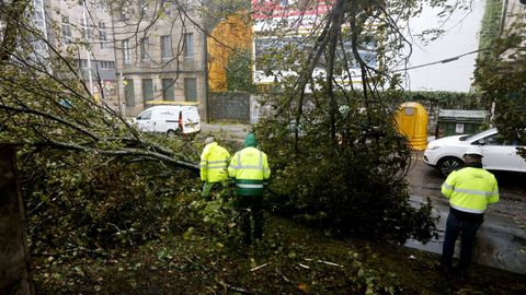 Corte de trfico en la avenida de Marn, en Pontevedra por la cada de rboles debido al temporal Kirk