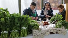 La feria Expogrelo surgi� para promocionar el grelo cosechado en Abad�n
