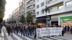 Manifestacin por la oficialidad