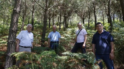 Comuneros de Laxos y Cardecide, en Cuntis, en el monte que destinan a compensaci�n de la huella de carbono de las empresas