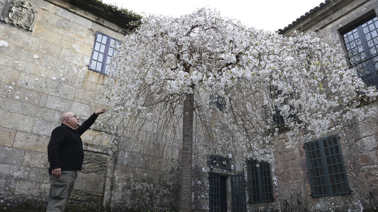 El Pazo do Faramello, en Rois, acentúa su influencia japonesa