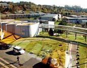 Vigo s� aparece entre las 500 mejores universidades.